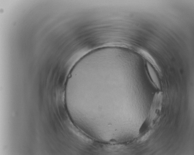 X0000062831284200601271942