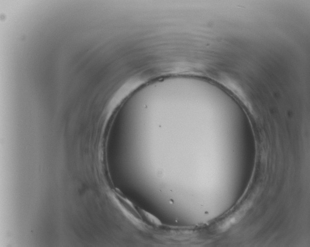 X0000062831285200601271942