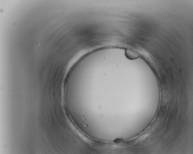 X0000062831286200601271942