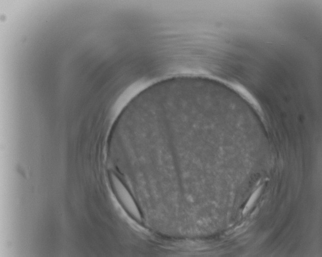 X0000062831287200601271942