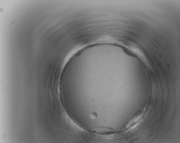 X0000062831288200601271942