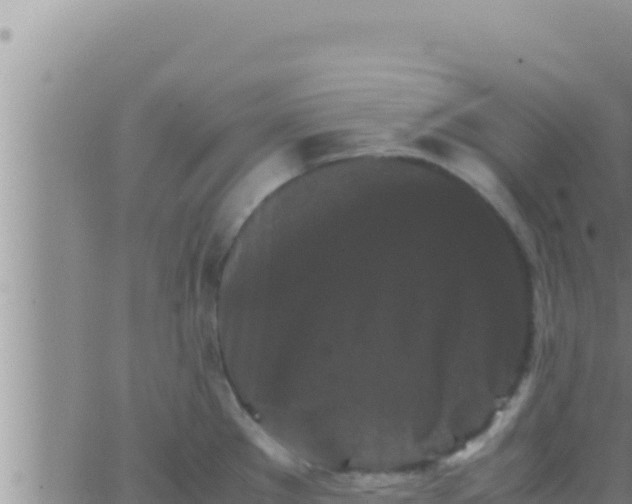 X0000062831289200601271942