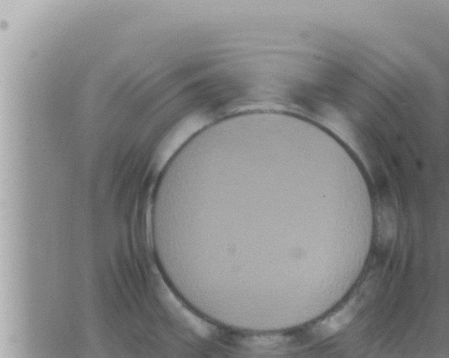 X0000062831290200601271942