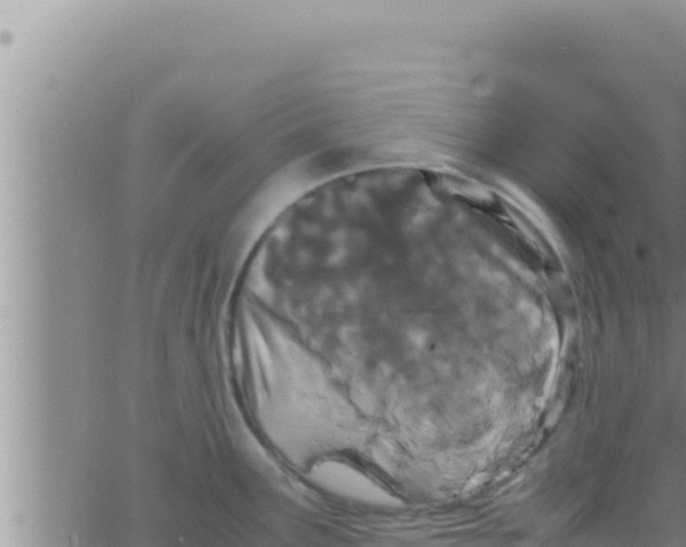 X0000062831291200601271942