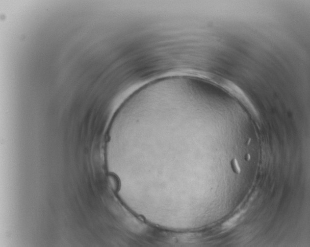 X0000062831292200601271942