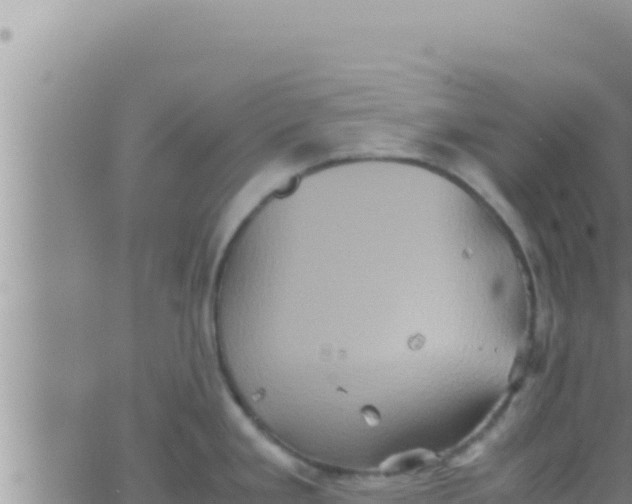 X0000062831293200601271942