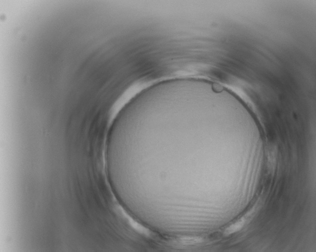 X0000062831294200601271942