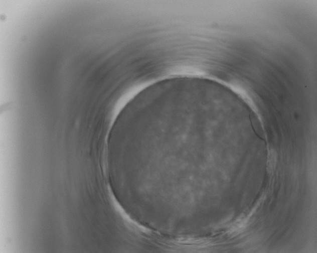 X0000062831295200601271942