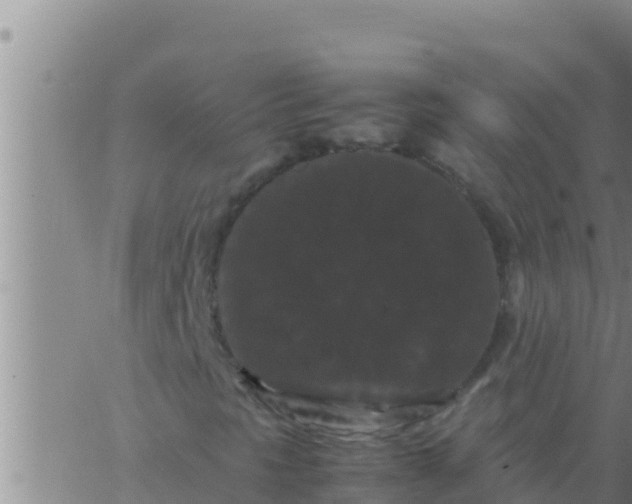 X0000062831297200601271941