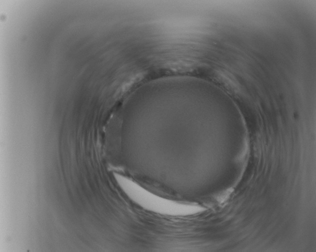 X0000062831298200601271941