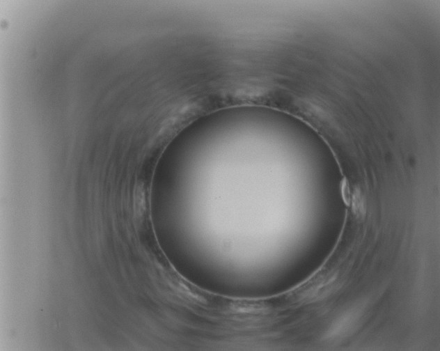 X0000062831299200601271941