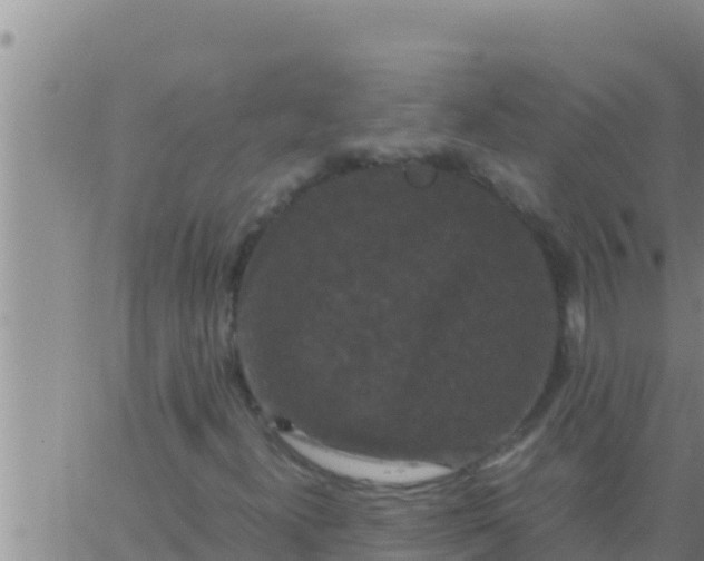 X0000062831300200601271941