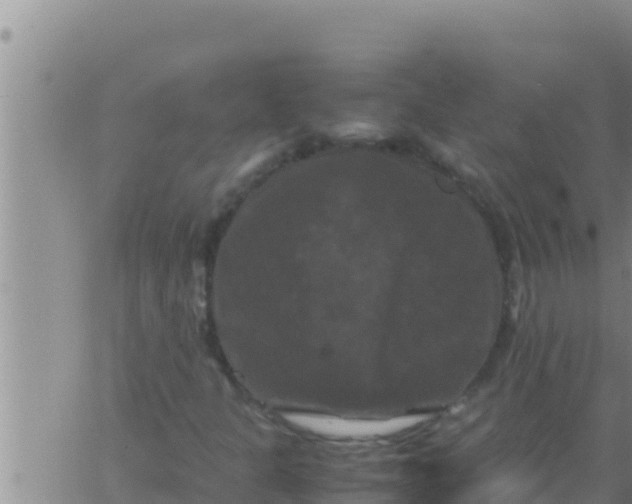 X0000062831301200601271941