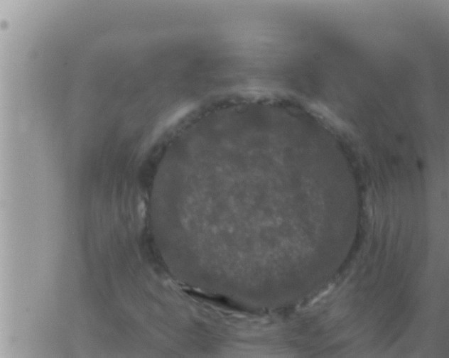 X0000062831302200601271941