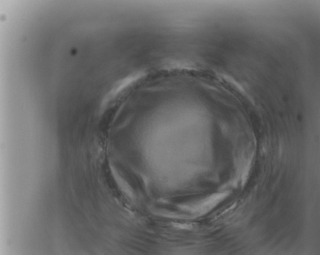 X0000062831303200601271941