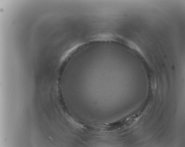 X0000062831304200601271941