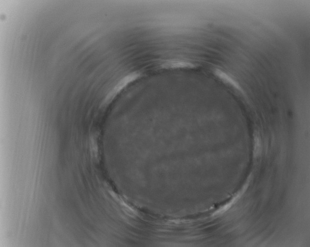 X0000062831305200601271941