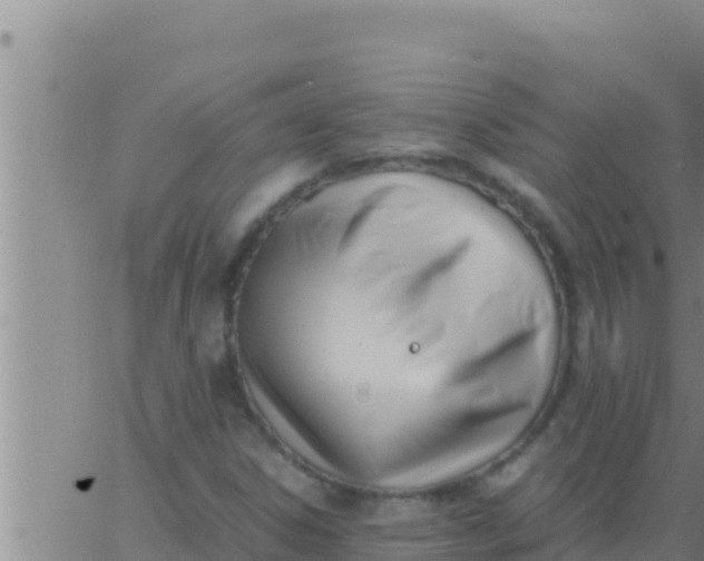 X0000062831306200601271941