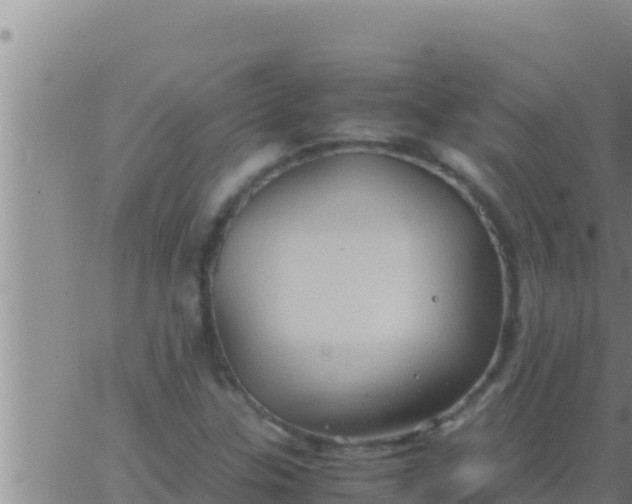 X0000062831307200601271941