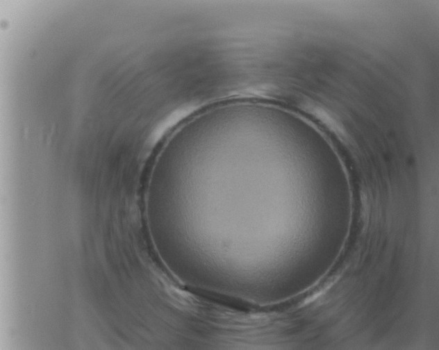 X0000062831308200601271941