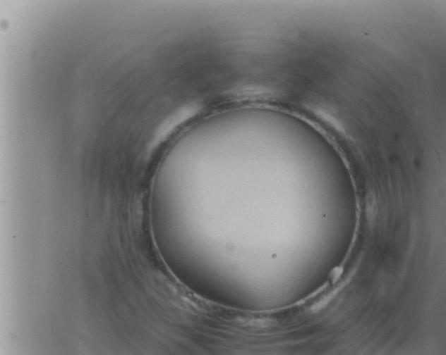 X0000062831309200601271941