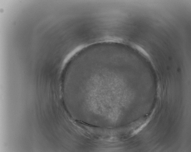 X0000062831310200601271941