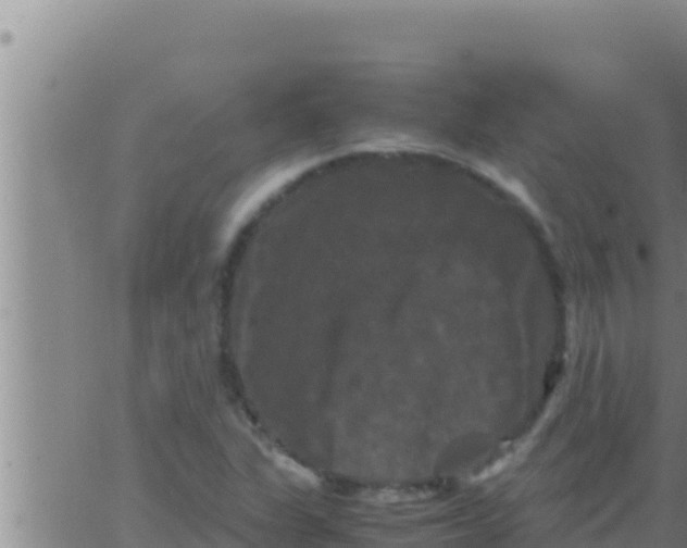 X0000062831311200601271941