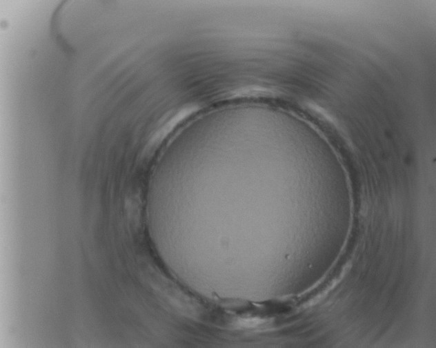 X0000062831313200601271941