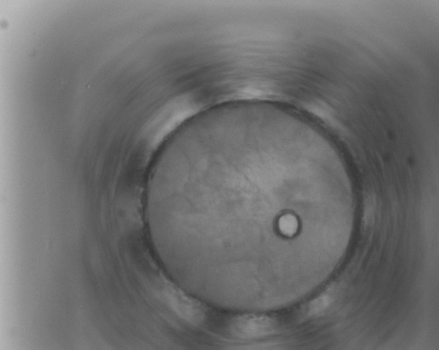 X0000062831314200601271941