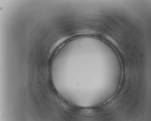 X0000062831315200601271941