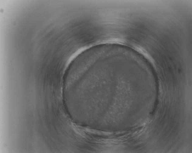 X0000062831316200601271941