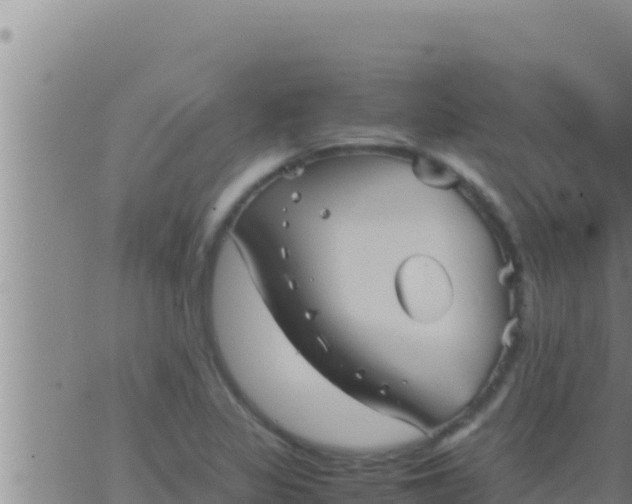 X0000062831317200601271941