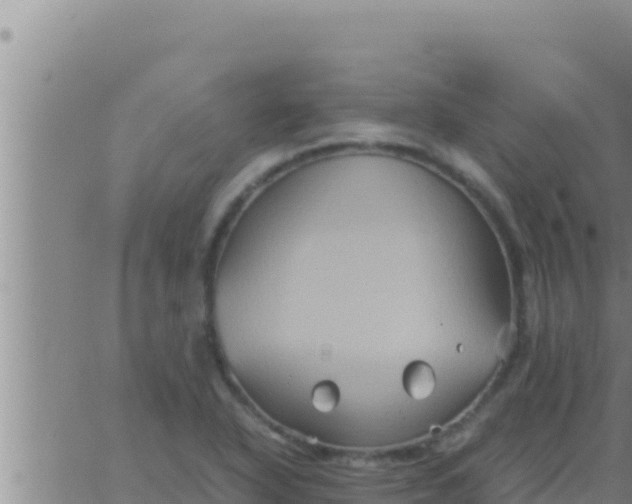 X0000062831318200601271941