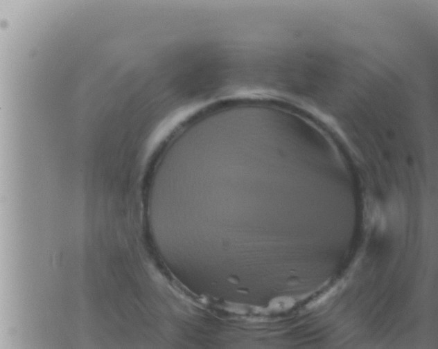 X0000062831319200601271941