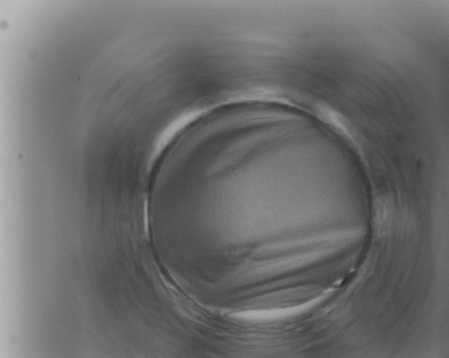 X0000062831320200601271941