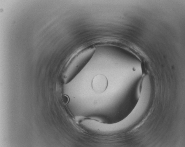 X0000062831321200601271941