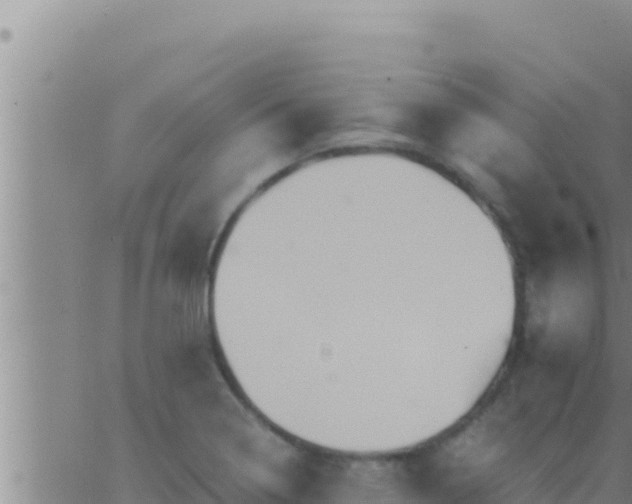 X0000062831322200601271941