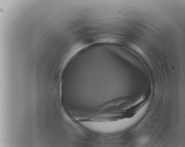 X0000062831323200601271941