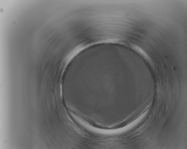 X0000062831324200601271941