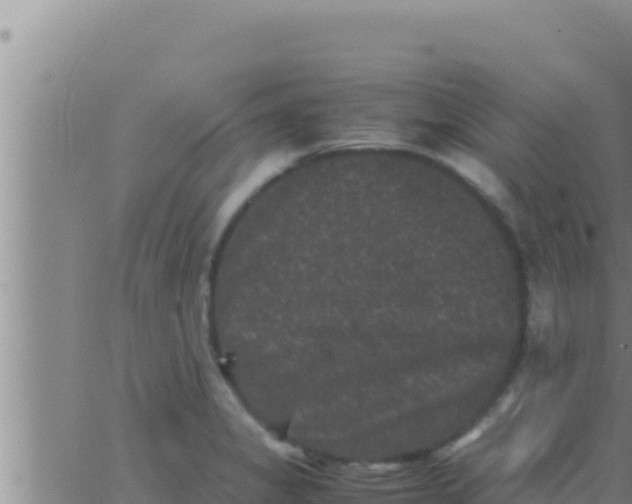 X0000062831325200601271941