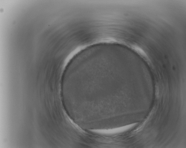 X0000062831326200601271941