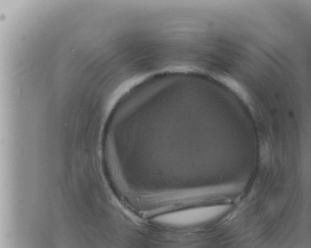 X0000062831327200601271941