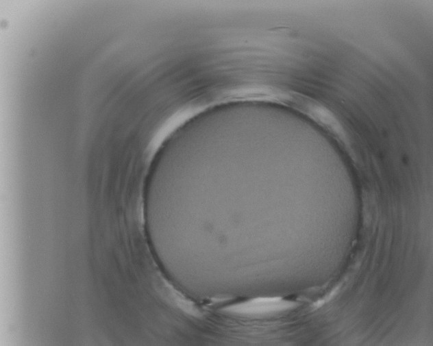 X0000062831328200601271941