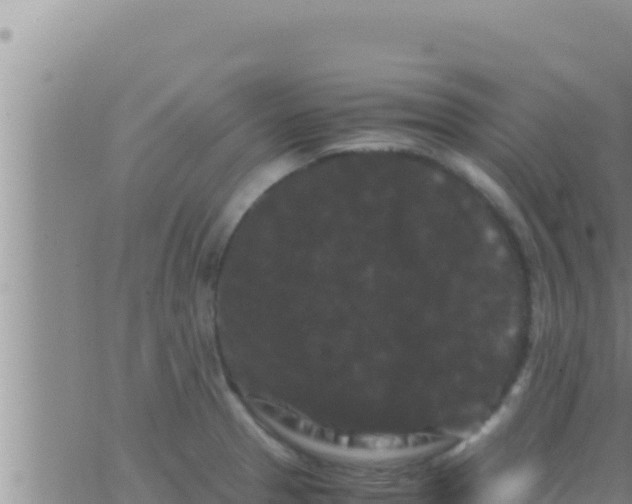 X0000062831329200601271941