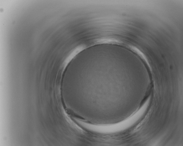 X0000062831330200601271941