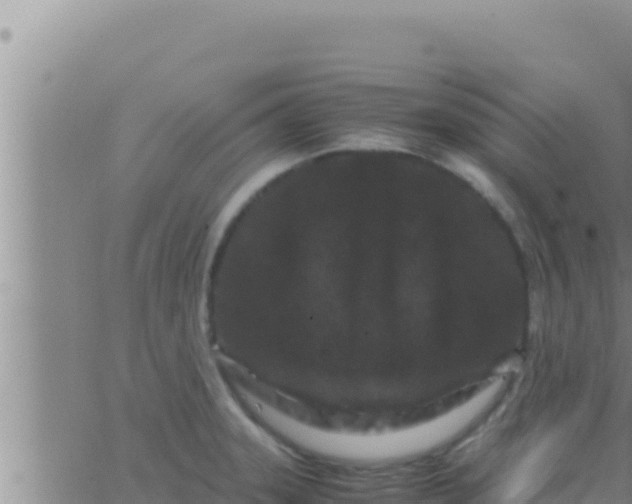 X0000062831331200601271941