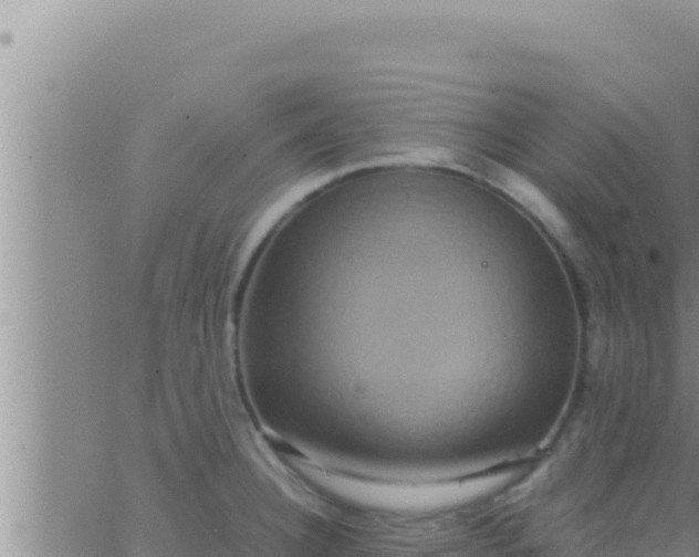 X0000062831332200601271941