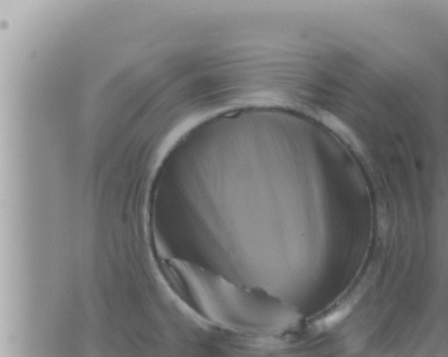 X0000062831334200601271941