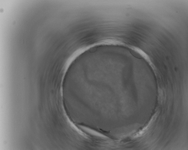 X0000062831335200601271941