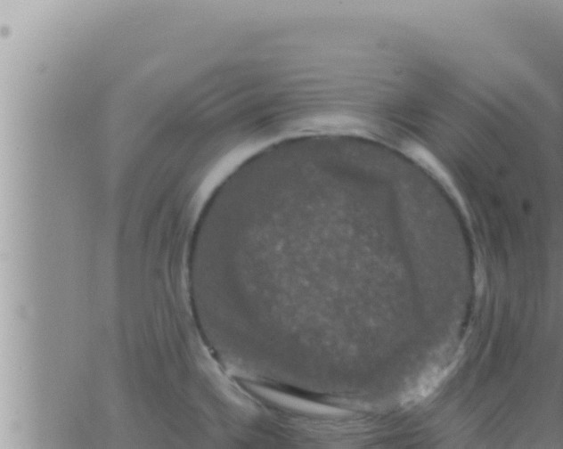 X0000062831336200601271941